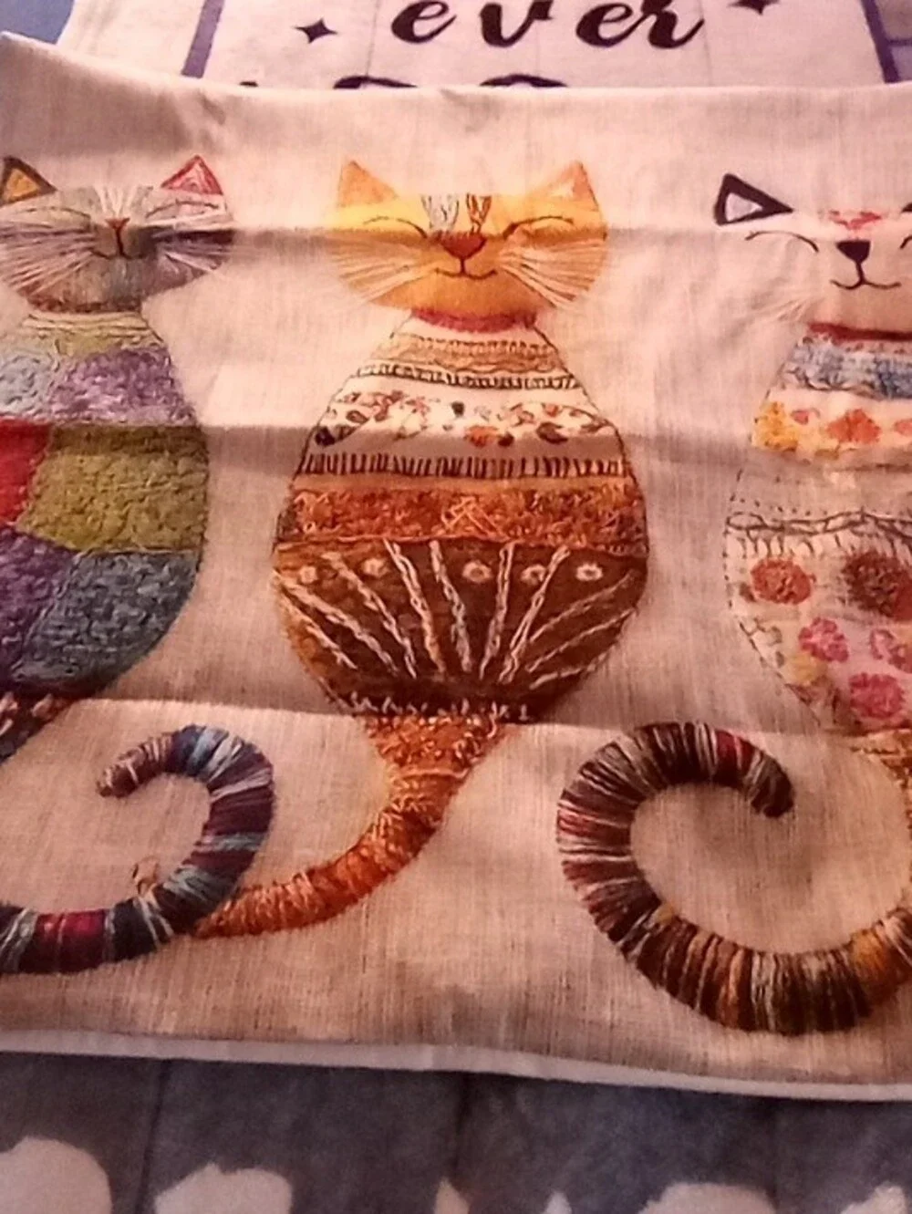 Catstudio soft multicolor